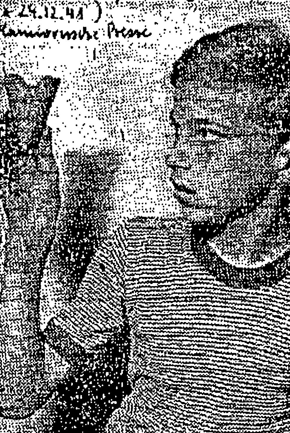 Bild des Steinbeil-Finders